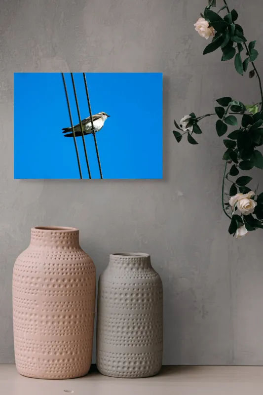 Tablou Canvas, "Pasărea singuratică pe fir electric", Pasăre, Fir, Cer, Albastru, Panoramă, Natură, Aripă, Penaj., 54 x 39 cm – poza 8