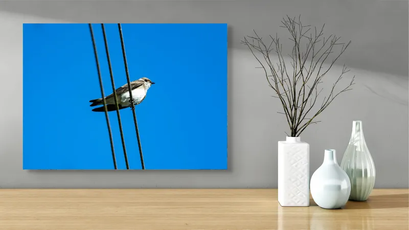 Tablou Canvas, "Pasărea singuratică pe fir electric", Pasăre, Fir, Cer, Albastru, Panoramă, Natură, Aripă, Penaj., 70 x 50 cm – poza 3