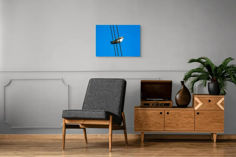 Tablou Canvas, "Pasărea singuratică pe fir electric", Pasăre, Fir, Cer, Albastru, Panoramă, Natură, Aripă, Penaj., 70 x 50 cm – poza 4