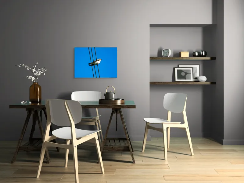 Tablou Canvas, "Pasărea singuratică pe fir electric", Pasăre, Fir, Cer, Albastru, Panoramă, Natură, Aripă, Penaj., 70 x 50 cm – poza 5