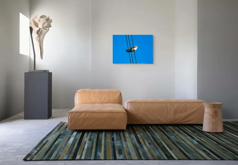 Tablou Canvas, "Pasărea singuratică pe fir electric", Pasăre, Fir, Cer, Albastru, Panoramă, Natură, Aripă, Penaj., 70 x 50 cm – poza 8