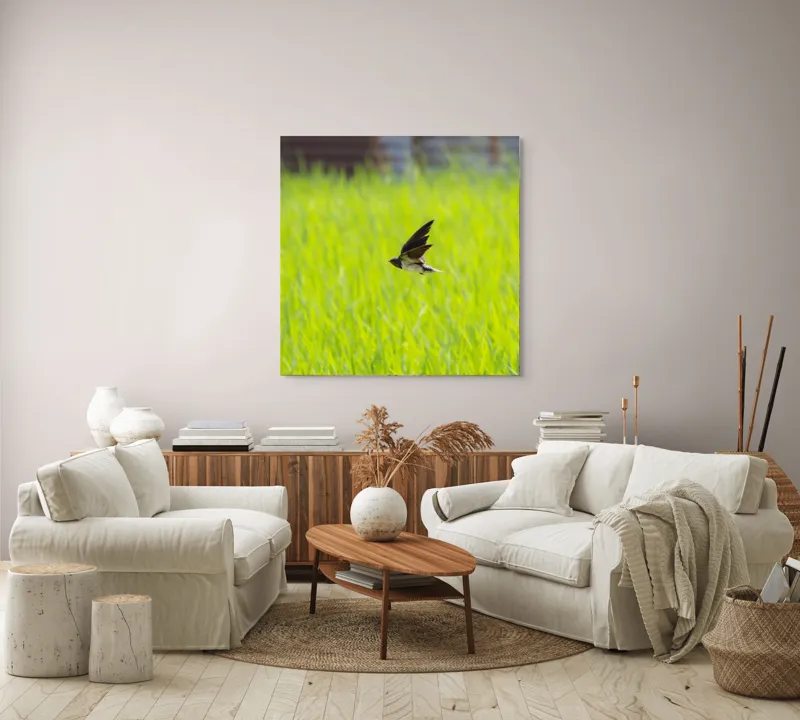 Tablou Canvas, "Rândunica survolând câmpul verde intens", Pasăre, Zbor, Câmp, Verde, Viteză, Natură, Libertate, Aripi, 100 x 100 cm – poza 3
