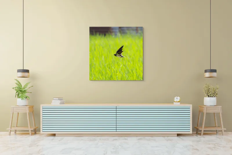 Tablou Canvas, "Rândunica survolând câmpul verde intens", Pasăre, Zbor, Câmp, Verde, Viteză, Natură, Libertate, Aripi, 100 x 100 cm – poza 5