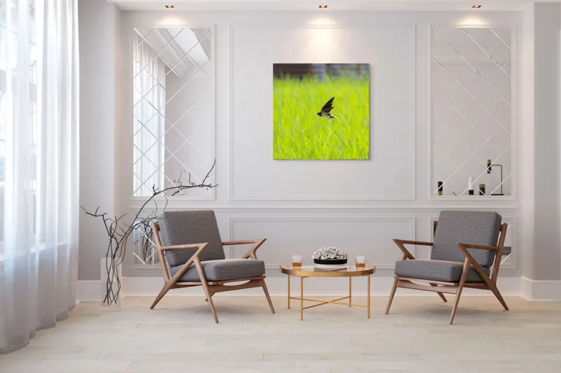 Tablou Canvas, "Rândunica survolând câmpul verde intens", Pasăre, Zbor, Câmp, Verde, Viteză, Natură, Libertate, Aripi, 100 x 100 cm – poza 7