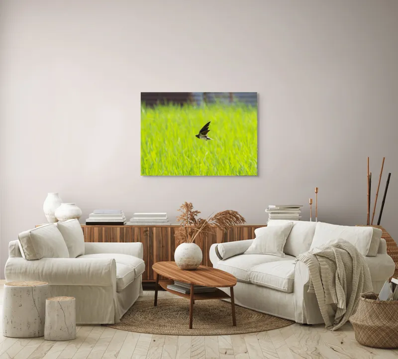 Tablou Canvas, "Rândunica survolând câmpul verde intens", Pasăre, Zbor, Câmp, Verde, Viteză, Natură, Libertate, Aripi, 100 x 70 cm – poza 3