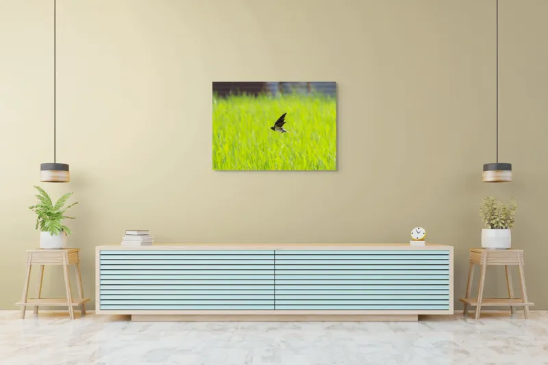 Tablou Canvas, "Rândunica survolând câmpul verde intens", Pasăre, Zbor, Câmp, Verde, Viteză, Natură, Libertate, Aripi, 100 x 70 cm – poza 4