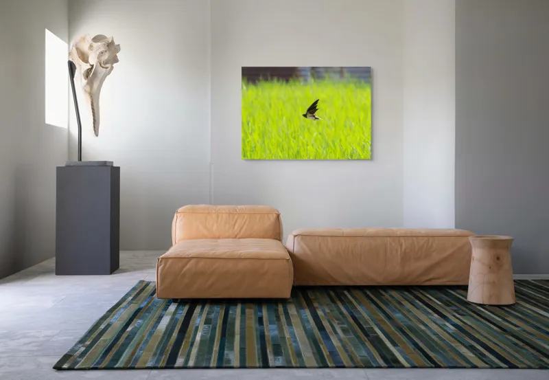 Tablou Canvas, "Rândunica survolând câmpul verde intens", Pasăre, Zbor, Câmp, Verde, Viteză, Natură, Libertate, Aripi, 100 x 70 cm – poza 7