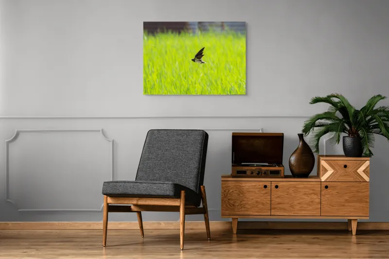 Tablou Canvas, "Rândunica survolând câmpul verde intens", Pasăre, Zbor, Câmp, Verde, Viteză, Natură, Libertate, Aripi, 100 x 70 cm – poza 8