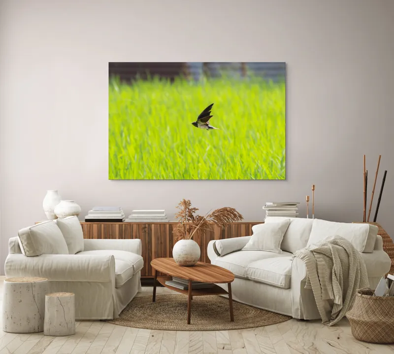 Tablou Canvas, "Rândunica survolând câmpul verde intens", Pasăre, Zbor, Câmp, Verde, Viteză, Natură, Libertate, Aripi, 150 x 100 cm – poza 3