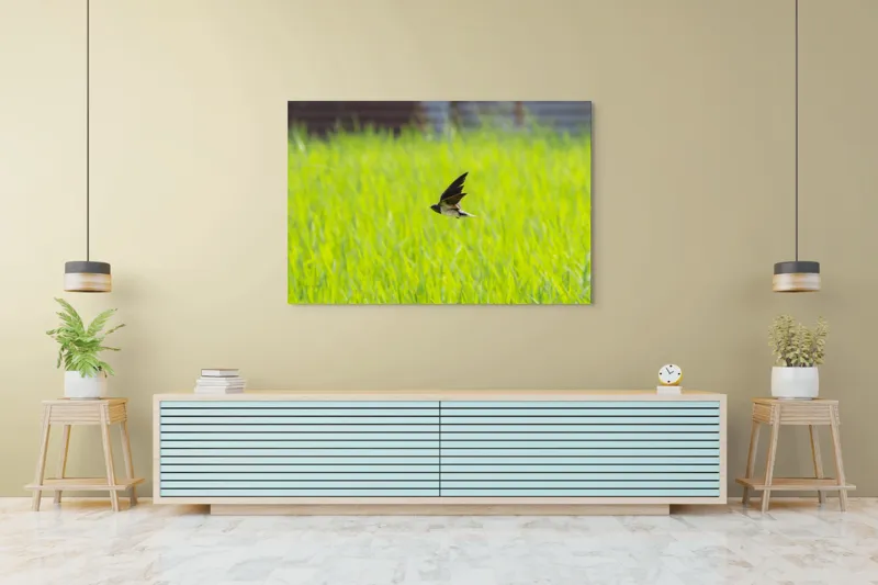 Tablou Canvas, "Rândunica survolând câmpul verde intens", Pasăre, Zbor, Câmp, Verde, Viteză, Natură, Libertate, Aripi, 150 x 100 cm – poza 6