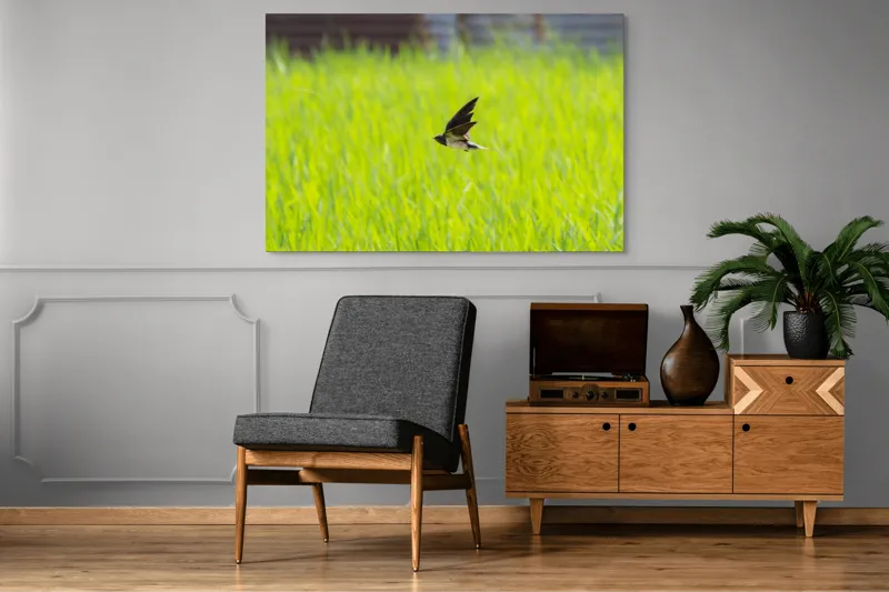Tablou Canvas, "Rândunica survolând câmpul verde intens", Pasăre, Zbor, Câmp, Verde, Viteză, Natură, Libertate, Aripi, 150 x 100 cm – poza 8