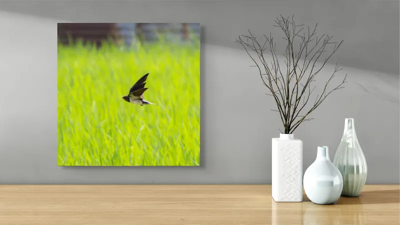 Tablou Canvas, "Rândunica survolând câmpul verde intens", Pasăre, Zbor, Câmp, Verde, Viteză, Natură, Libertate, Aripi, 50 x 50 cm – poza 3