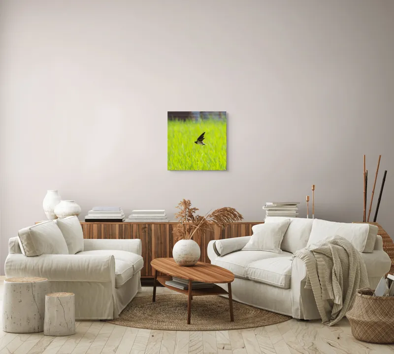 Tablou Canvas, "Rândunica survolând câmpul verde intens", Pasăre, Zbor, Câmp, Verde, Viteză, Natură, Libertate, Aripi, 50 x 50 cm – poza 7