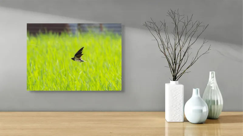 Tablou Canvas, "Rândunica survolând câmpul verde intens", Pasăre, Zbor, Câmp, Verde, Viteză, Natură, Libertate, Aripi, 54 x 39 cm – poza 3