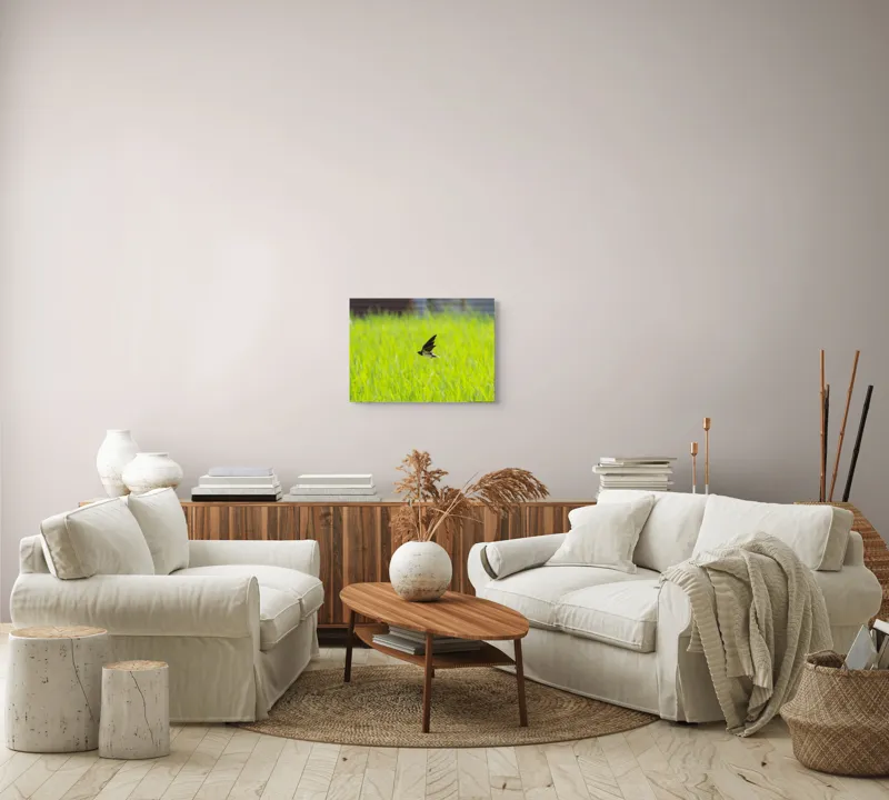 Tablou Canvas, "Rândunica survolând câmpul verde intens", Pasăre, Zbor, Câmp, Verde, Viteză, Natură, Libertate, Aripi, 54 x 39 cm – poza 5