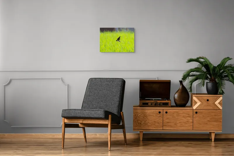 Tablou Canvas, "Rândunica survolând câmpul verde intens", Pasăre, Zbor, Câmp, Verde, Viteză, Natură, Libertate, Aripi, 54 x 39 cm – poza 7