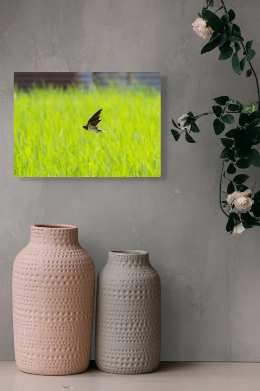 Tablou Canvas, "Rândunica survolând câmpul verde intens", Pasăre, Zbor, Câmp, Verde, Viteză, Natură, Libertate, Aripi, 54 x 39 cm – poza 8