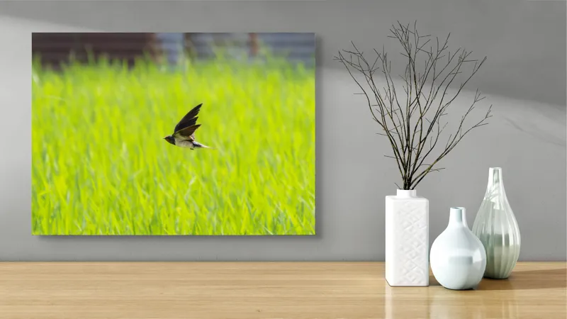 Tablou Canvas, "Rândunica survolând câmpul verde intens", Pasăre, Zbor, Câmp, Verde, Viteză, Natură, Libertate, Aripi, 70 x 50 cm – poza 3