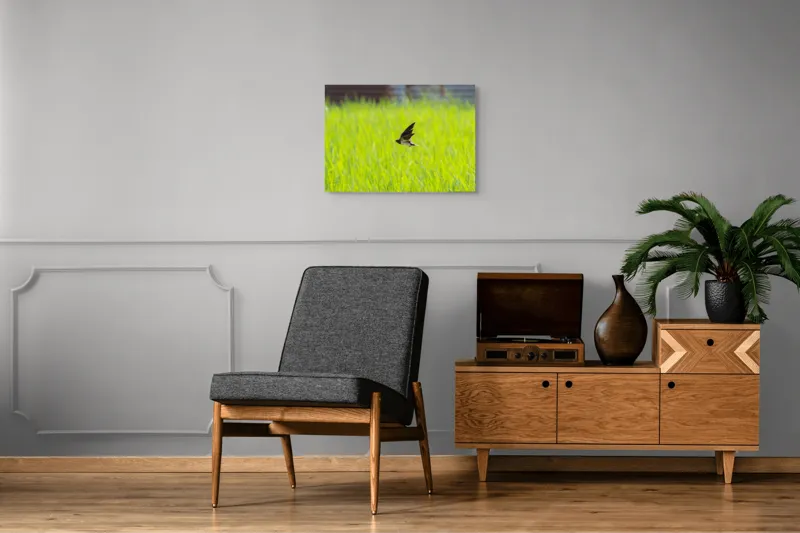 Tablou Canvas, "Rândunica survolând câmpul verde intens", Pasăre, Zbor, Câmp, Verde, Viteză, Natură, Libertate, Aripi, 70 x 50 cm – poza 4