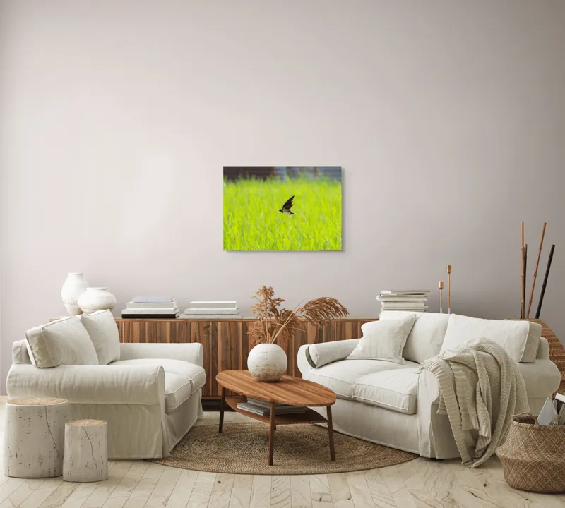 Tablou Canvas, "Rândunica survolând câmpul verde intens", Pasăre, Zbor, Câmp, Verde, Viteză, Natură, Libertate, Aripi, 70 x 50 cm – poza 6