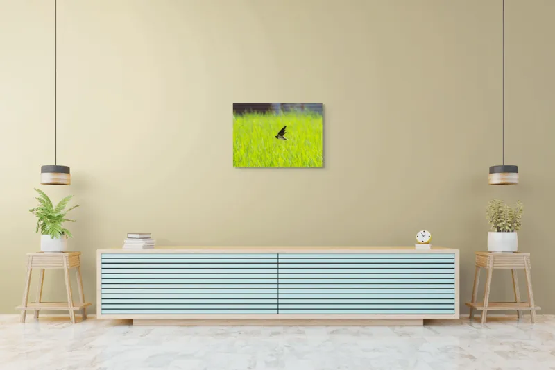 Tablou Canvas, "Rândunica survolând câmpul verde intens", Pasăre, Zbor, Câmp, Verde, Viteză, Natură, Libertate, Aripi, 70 x 50 cm – poza 7
