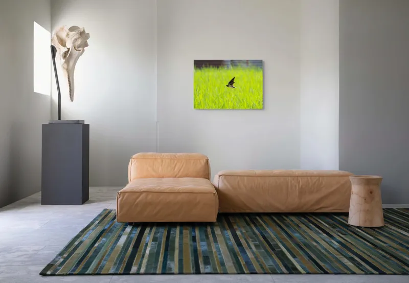 Tablou Canvas, "Rândunica survolând câmpul verde intens", Pasăre, Zbor, Câmp, Verde, Viteză, Natură, Libertate, Aripi, 70 x 50 cm – poza 8