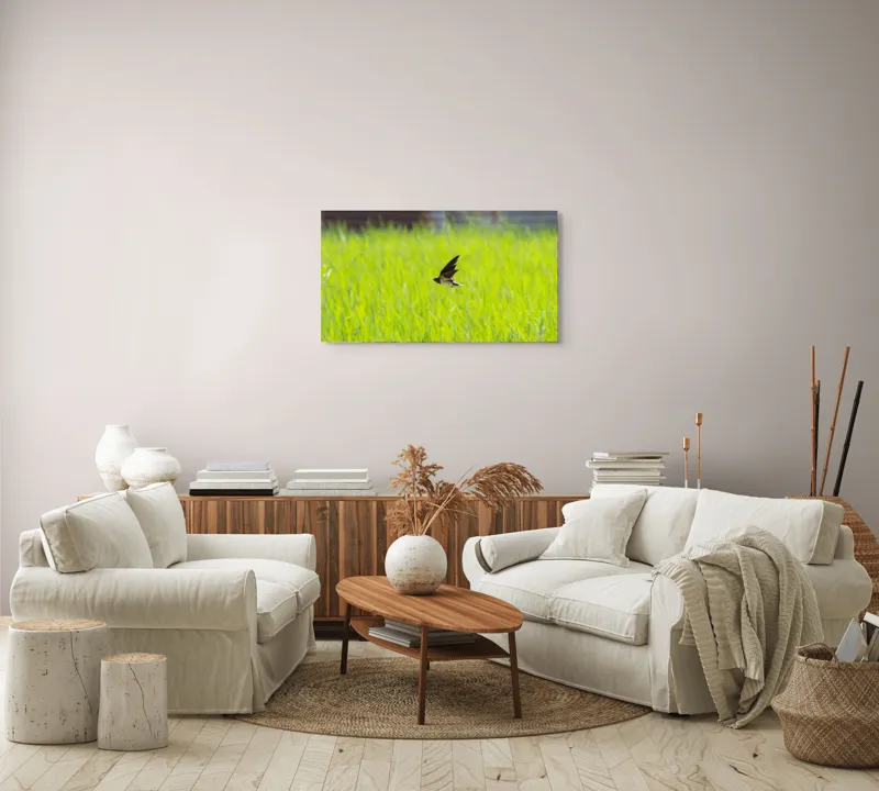 Tablou Canvas, "Rândunica survolând câmpul verde intens", Pasăre, Zbor, Câmp, Verde, Viteză, Natură, Libertate, Aripi, 90 x 50 cm – poza 4