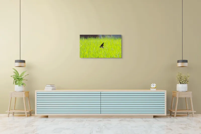 Tablou Canvas, "Rândunica survolând câmpul verde intens", Pasăre, Zbor, Câmp, Verde, Viteză, Natură, Libertate, Aripi, 90 x 50 cm – poza 5
