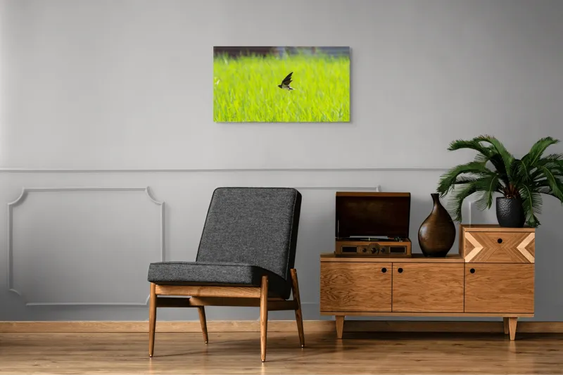 Tablou Canvas, "Rândunica survolând câmpul verde intens", Pasăre, Zbor, Câmp, Verde, Viteză, Natură, Libertate, Aripi, 90 x 50 cm – poza 6