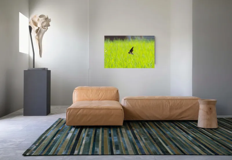 Tablou Canvas, "Rândunica survolând câmpul verde intens", Pasăre, Zbor, Câmp, Verde, Viteză, Natură, Libertate, Aripi, 90 x 50 cm – poza 8