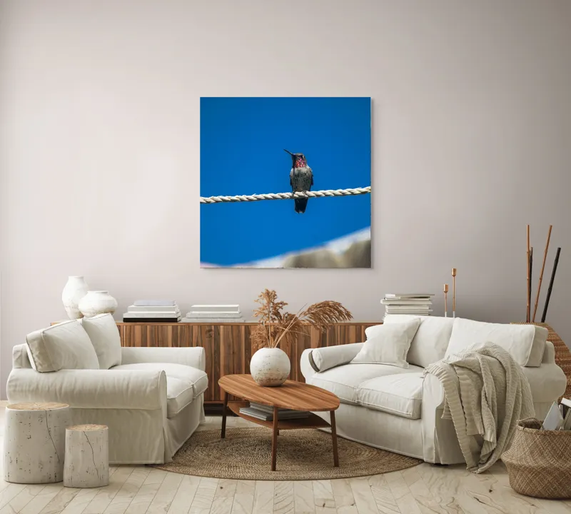 Tablou Canvas, "Colibri odihnindu-se pe o sfoară", Pasăre, Sârmă, Albastru, Cer, Penaj, Culoare, Natură, Liniște, 100 x 100 cm – poza 3