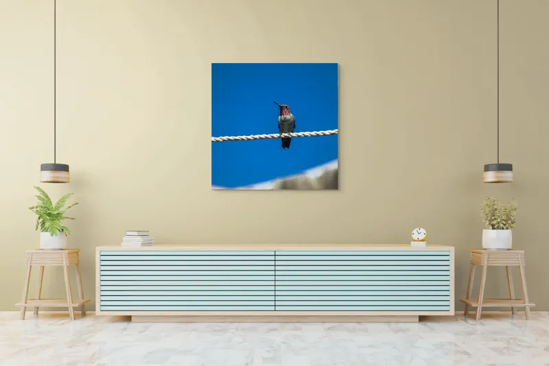 Tablou Canvas, "Colibri odihnindu-se pe o sfoară", Pasăre, Sârmă, Albastru, Cer, Penaj, Culoare, Natură, Liniște, 100 x 100 cm – poza 5