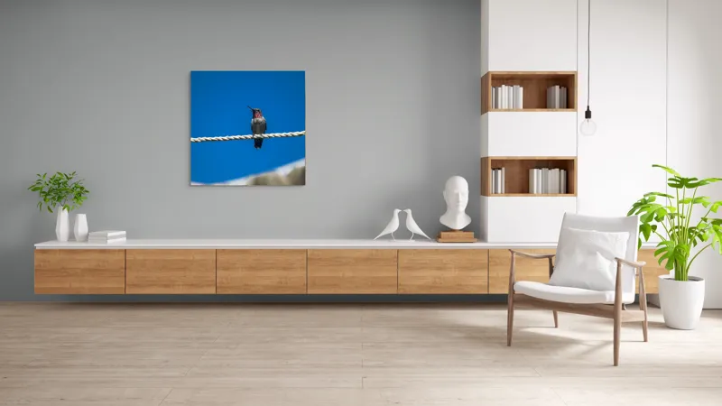 Tablou Canvas, "Colibri odihnindu-se pe o sfoară", Pasăre, Sârmă, Albastru, Cer, Penaj, Culoare, Natură, Liniște, 100 x 100 cm – poza 8