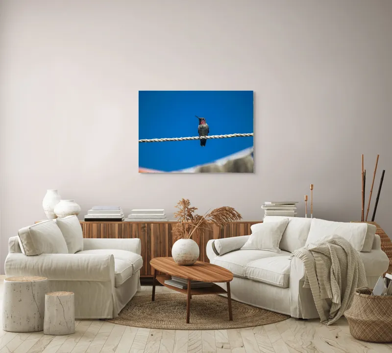 Tablou Canvas, "Colibri odihnindu-se pe o sfoară", Pasăre, Sârmă, Albastru, Cer, Penaj, Culoare, Natură, Liniște, 100 x 70 cm – poza 3