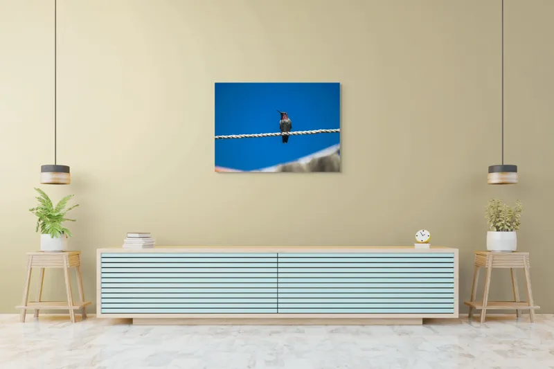 Tablou Canvas, "Colibri odihnindu-se pe o sfoară", Pasăre, Sârmă, Albastru, Cer, Penaj, Culoare, Natură, Liniște, 100 x 70 cm – poza 4
