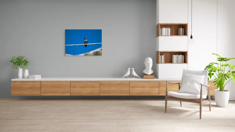Tablou Canvas, "Colibri odihnindu-se pe o sfoară", Pasăre, Sârmă, Albastru, Cer, Penaj, Culoare, Natură, Liniște, 100 x 70 cm – poza 6