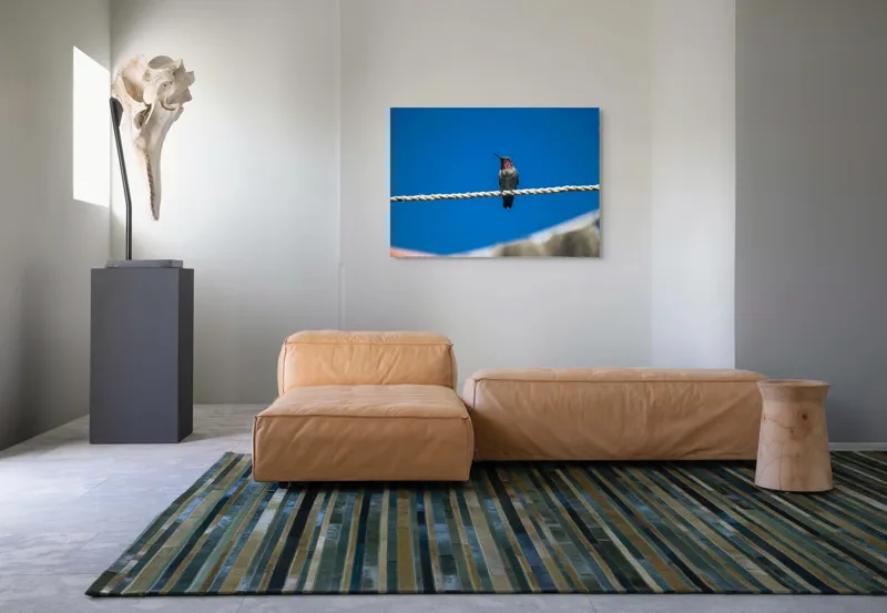 Tablou Canvas, "Colibri odihnindu-se pe o sfoară", Pasăre, Sârmă, Albastru, Cer, Penaj, Culoare, Natură, Liniște, 100 x 70 cm – poza 7