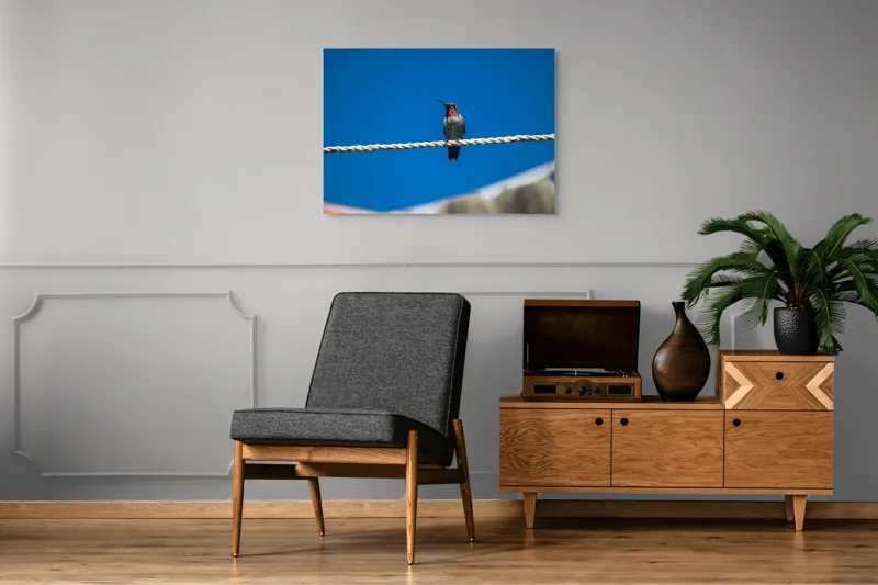 Tablou Canvas, "Colibri odihnindu-se pe o sfoară", Pasăre, Sârmă, Albastru, Cer, Penaj, Culoare, Natură, Liniște, 100 x 70 cm – poza 8