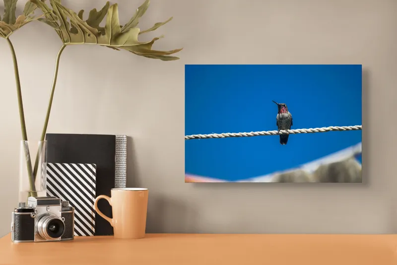 Tablou Canvas, "Colibri odihnindu-se pe o sfoară", Pasăre, Sârmă, Albastru, Cer, Penaj, Culoare, Natură, Liniște, 39 x 26 cm – poza 3