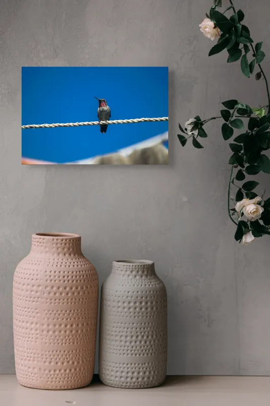 Tablou Canvas, "Colibri odihnindu-se pe o sfoară", Pasăre, Sârmă, Albastru, Cer, Penaj, Culoare, Natură, Liniște, 39 x 26 cm – poza 4