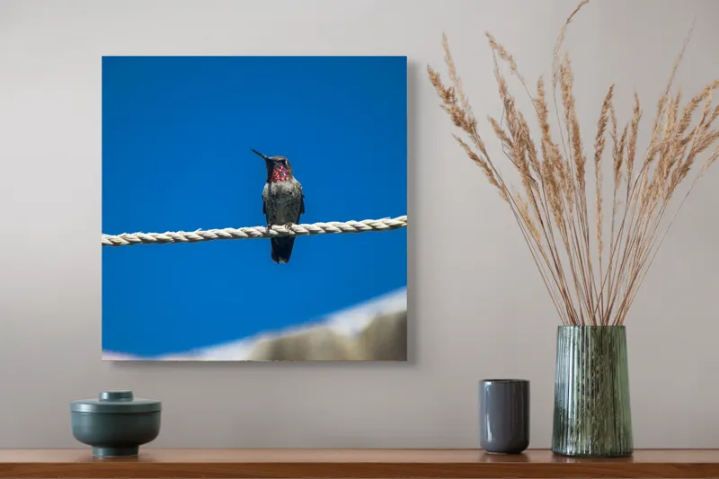 Tablou Canvas, "Colibri odihnindu-se pe o sfoară", Pasăre, Sârmă, Albastru, Cer, Penaj, Culoare, Natură, Liniște, 50 x 50 cm – poza 4