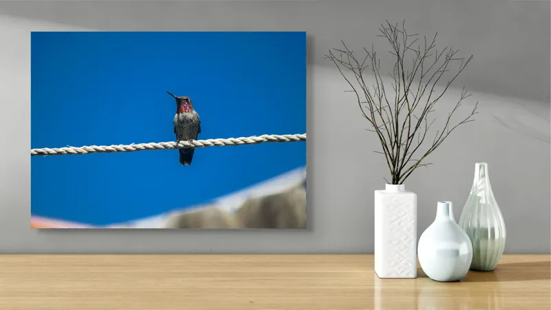 Tablou Canvas, "Colibri odihnindu-se pe o sfoară", Pasăre, Sârmă, Albastru, Cer, Penaj, Culoare, Natură, Liniște, 70 x 50 cm – poza 3