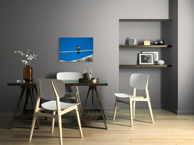 Tablou Canvas, "Colibri odihnindu-se pe o sfoară", Pasăre, Sârmă, Albastru, Cer, Penaj, Culoare, Natură, Liniște, 70 x 50 cm – poza 5