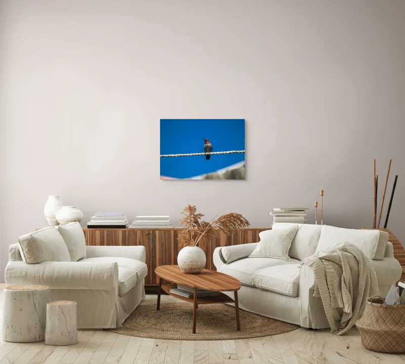 Tablou Canvas, "Colibri odihnindu-se pe o sfoară", Pasăre, Sârmă, Albastru, Cer, Penaj, Culoare, Natură, Liniște, 70 x 50 cm – poza 6
