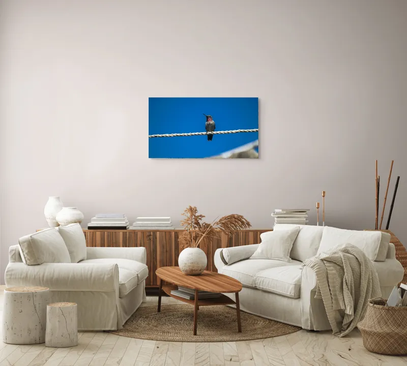 Tablou Canvas, "Colibri odihnindu-se pe o sfoară", Pasăre, Sârmă, Albastru, Cer, Penaj, Culoare, Natură, Liniște, 90 x 50 cm – poza 4