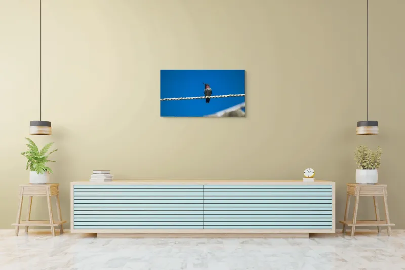 Tablou Canvas, "Colibri odihnindu-se pe o sfoară", Pasăre, Sârmă, Albastru, Cer, Penaj, Culoare, Natură, Liniște, 90 x 50 cm – poza 5