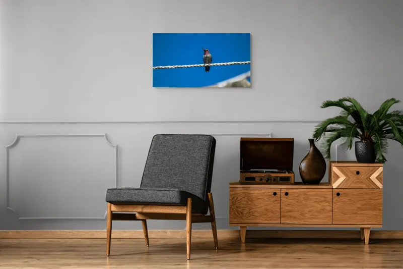 Tablou Canvas, "Colibri odihnindu-se pe o sfoară", Pasăre, Sârmă, Albastru, Cer, Penaj, Culoare, Natură, Liniște, 90 x 50 cm – poza 6