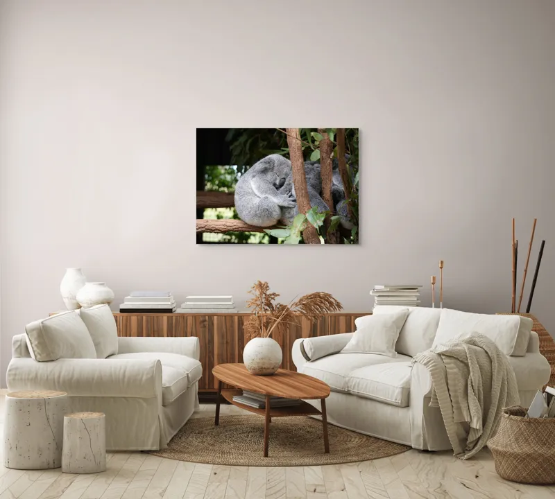 Tablou Canvas, "Koala în somn adânc pe ramură", Koala, Somnoros, Ramură, Frunze, Blană, Odihnă, Eucalyptus, Natură, Plăcut., 100 x 70 cm – poza 3