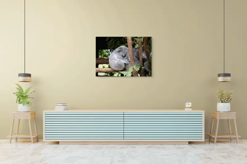 Tablou Canvas, "Koala în somn adânc pe ramură", Koala, Somnoros, Ramură, Frunze, Blană, Odihnă, Eucalyptus, Natură, Plăcut., 100 x 70 cm – poza 4