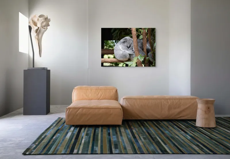 Tablou Canvas, "Koala în somn adânc pe ramură", Koala, Somnoros, Ramură, Frunze, Blană, Odihnă, Eucalyptus, Natură, Plăcut., 100 x 70 cm – poza 7